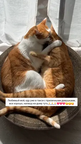 IMG 20260306 231720 506.webp