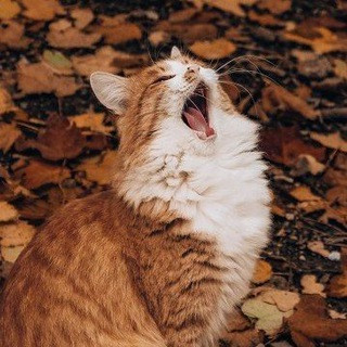 ZFFXon Mxpe5F9Dl04wyNo4Y32IBvfRJt UqS3LXL4zoH2GjZZkhnlP9FeZDLBXeVKe3fypehBXX e4wF9moKVRBRAr2nDvStJ1e.jpg