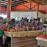 Local Market with taro and coconuts (14050766628)