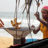 Beachside Barbeque (6831739276)