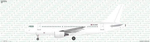 38281R.png