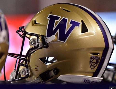 huskyhelmet1.jpg