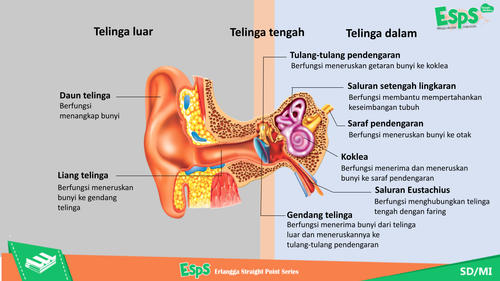 BAB 1. Cahaya dan Bunyi di Sekitar Kita.pptx.png