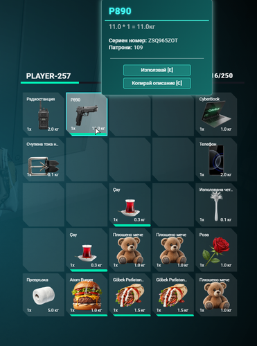 FiveM GTAProcess 0j0RwixyCS.png