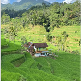 Screenshot 1.png