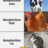 Screenshot 12.png