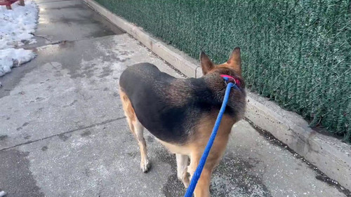 E5Q Q5V4CDDq2cd9.jpg