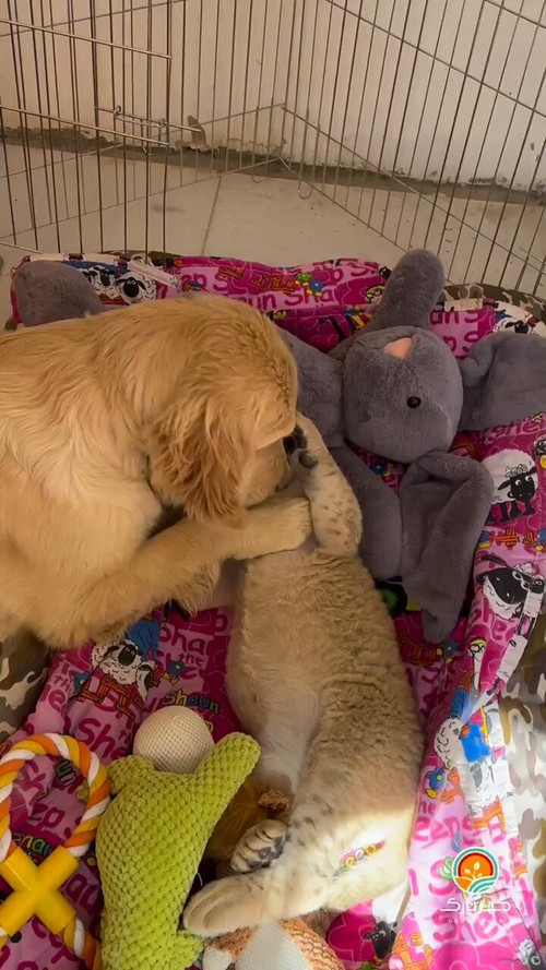 IZeBhZPbr F05zw1.jpg