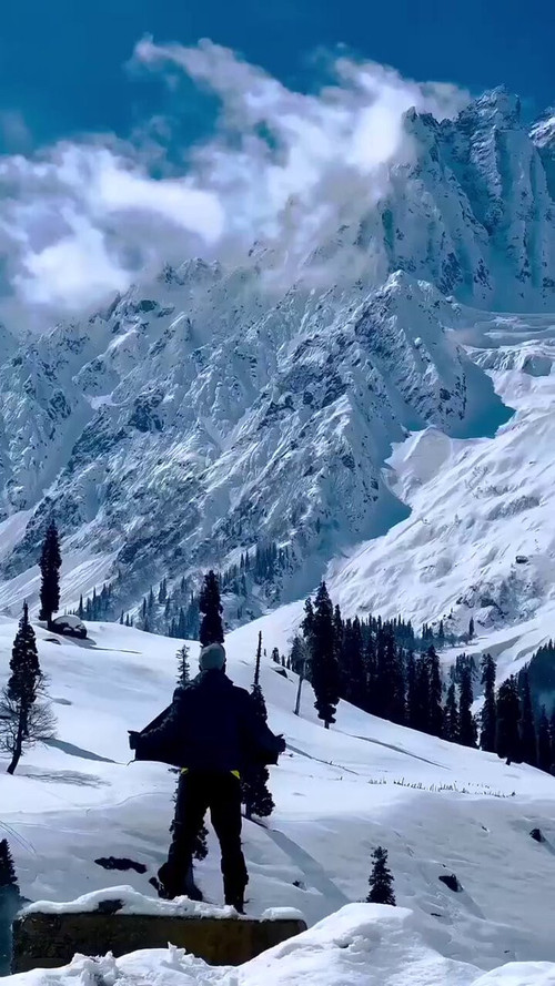 sH mQ8BFiPDWmQa6.jpg