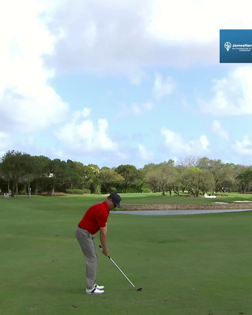 d5dDw6Kg8H UKpGs.jpg