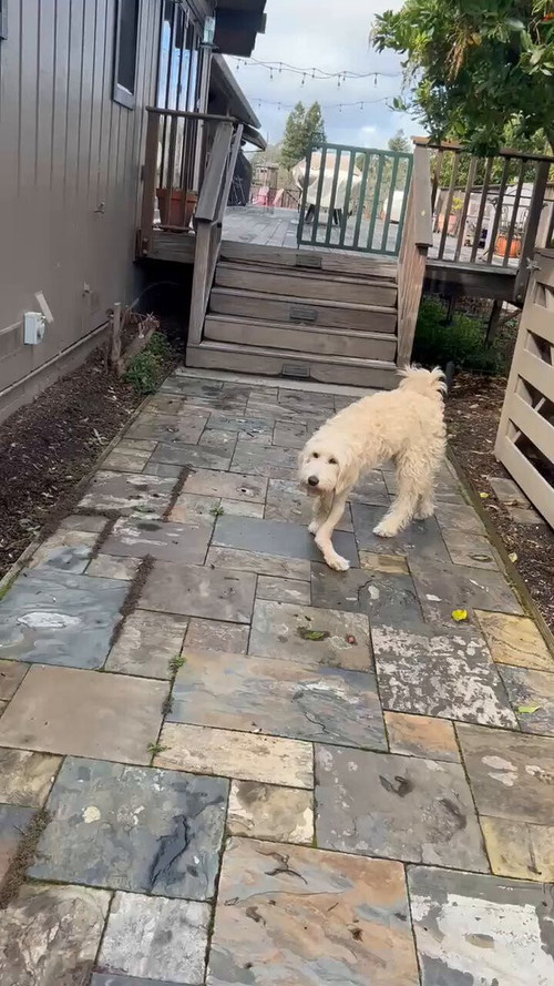 OmDIv9R56cotKoL .jpg