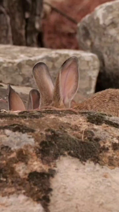 tGJ5Y BaT9 fiXZ .jpg