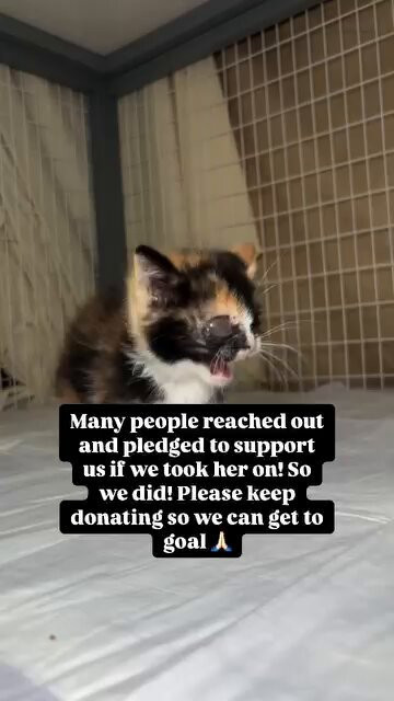 0emJXwjF6P oC0dY.jpg