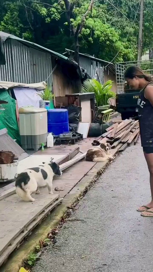 jLhpsdkvmel0D br.jpg