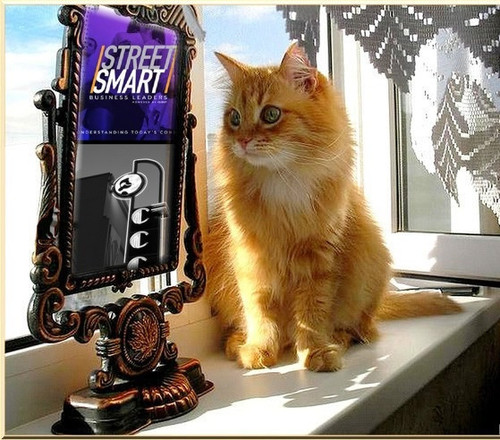 Street Smart Business Leaders podcast guest Richard Blank Costa Ricas Call Center CEO. (20).jpg