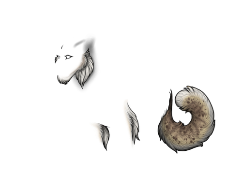 IMG 2843.png