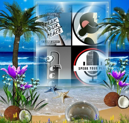 HIGHER LEVEL MENTALITY SPEAK YOUR PEACE GUEST RICHARD BLANK COSTA RICAS CALL CENTER. (2).jpg