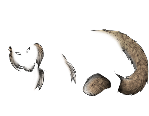 IMG 2846.png