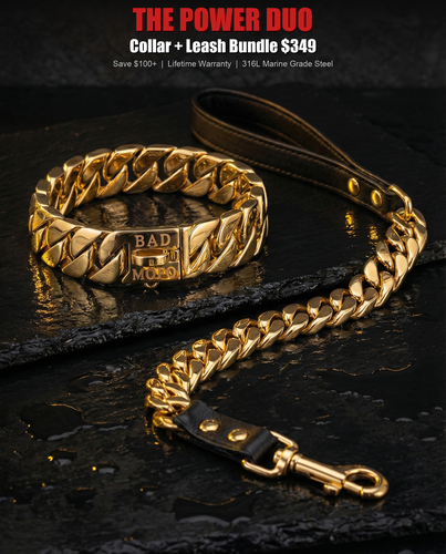 power duo fix final.png