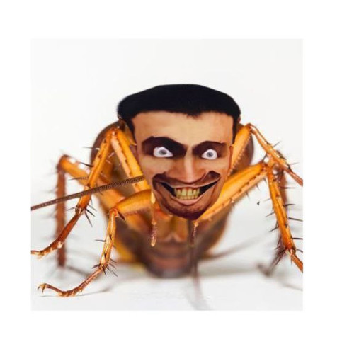 source.jpg