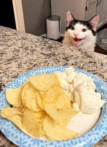 648302107 1507492548050980 4443721888282819838 n.jpg