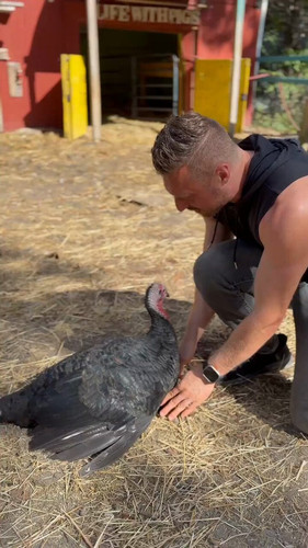 JMXjKPX6u h0LPko.jpg