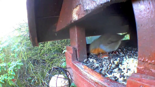 YghRy 9 eMBsATbM.jpg