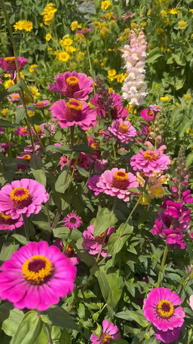 NVK ClXSZZQ0X9om.jpg