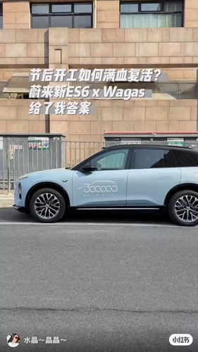 S ngPG0lgnyYO8 X.jpg