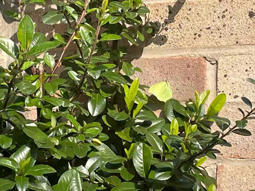 xuE30W dWpEYBLdF.jpg