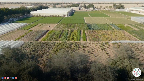 wmGUXtxNdsK5KeM .jpg