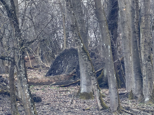 HCvjSA2XAAE5 fX?format=jpg.jpg