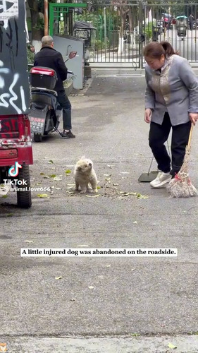 g7qHUN o6CFFzRGx.jpg