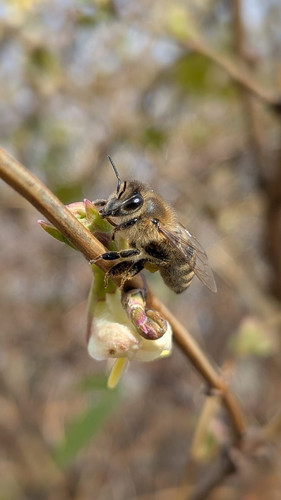 HCrJlW0XwAAWP d?format=jpg.jpg