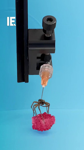 55utL9b 5e kqiZV.jpg