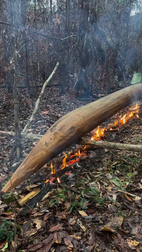 yFv9VNh 5E4Kikb9.jpg