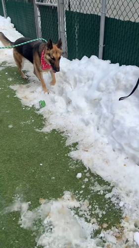 8 dmhXCC JE16wU .jpg