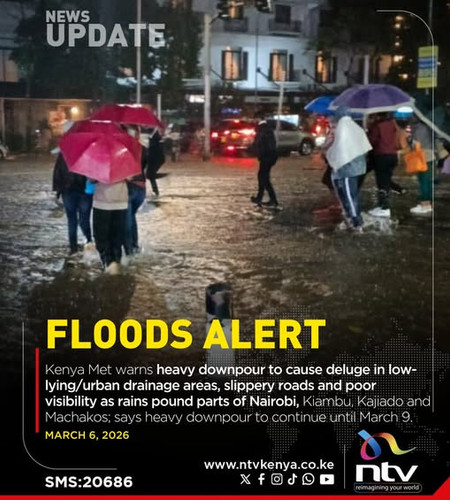 647123134 1520203113092231 4576235317054015794 n.jpg?stp=dst jpg s565x565 tt6& nc cat=109&ccb=1 7& n.jpg