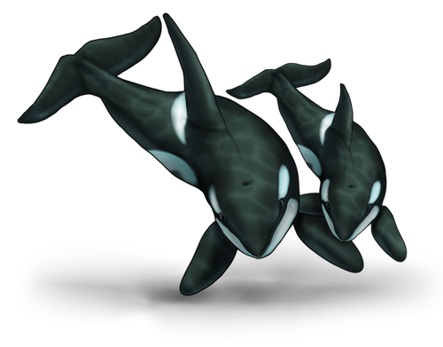 orca blue.png