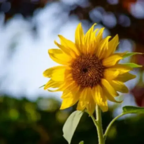 1749431309 300x300 1 11zon.webp