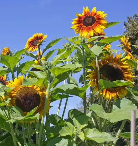 FL3254 2 x640 crop center.webp