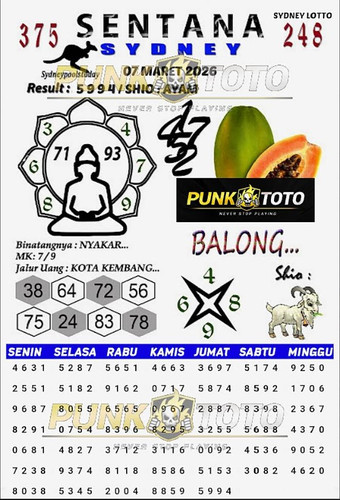 sy7.jpg