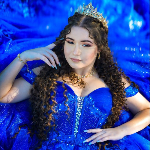 bluebutterfly 1715.jpg