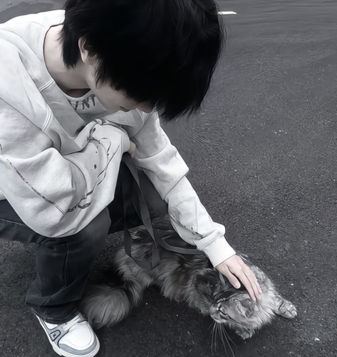 Screenshot 2026 0307 033302.png