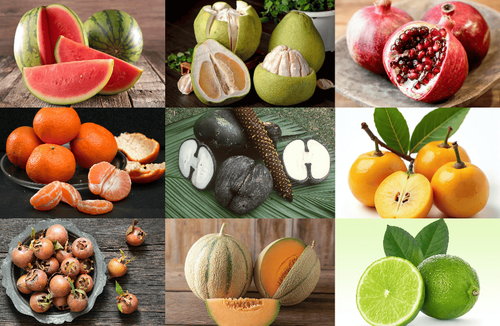 fruit (1) (1).png