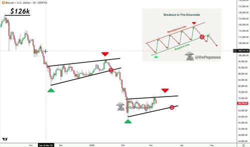 BfO0s rwMca1no1D.jpg