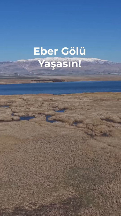 7 9xC8haAIUNO kN.jpg