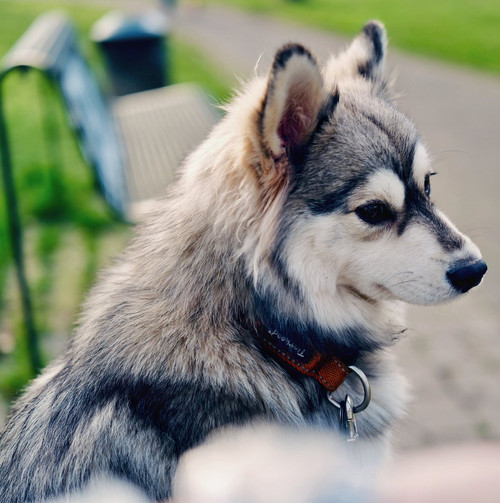 HCtuQl8WAAA gfg?format=jpg.jpg