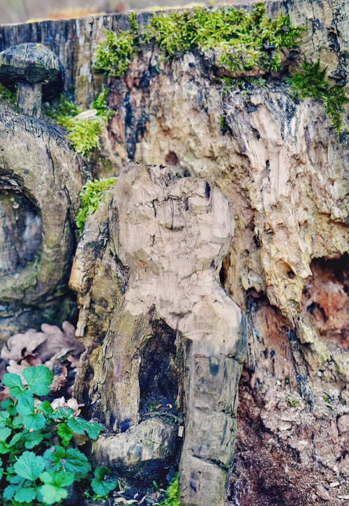 HCtuQl WUAEfvhd?format=jpg.jpg