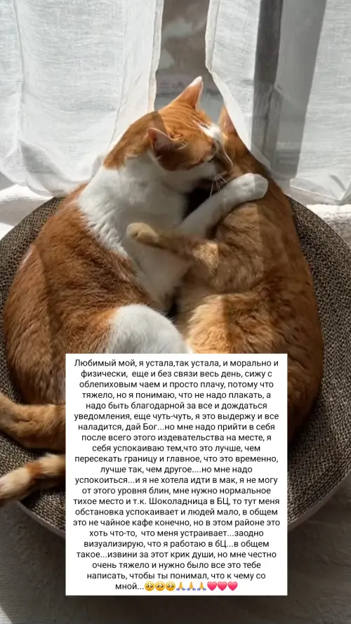 IMG 20260306 220054 053.webp